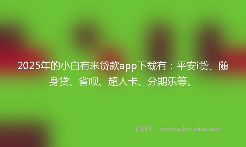2025年的小白有米贷款app下载有：平安i贷、随身贷、省呗、超人卡、分期乐等。