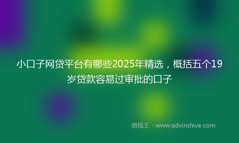 小口子网贷平台有哪些2025年精选，概括五个19岁贷款容易过审批的口子