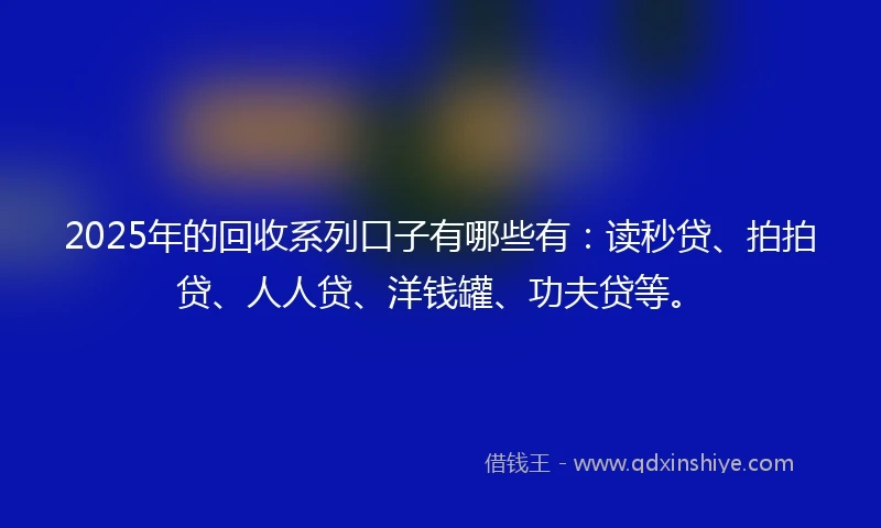 2025年的回收系列口子有哪些有：读秒贷、拍拍贷、人人贷、洋钱罐、功夫贷等。