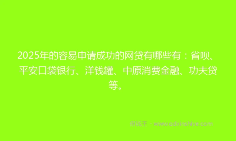 2025年的容易申请成功的网贷有哪些有：省呗、平安口袋银行、洋钱罐、中原消费金融、功夫贷等。