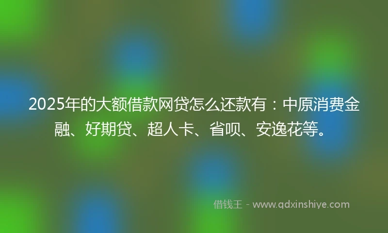 2025年的大额借款网贷怎么还款有：中原消费金融、好期贷、超人卡、省呗、安逸花等。