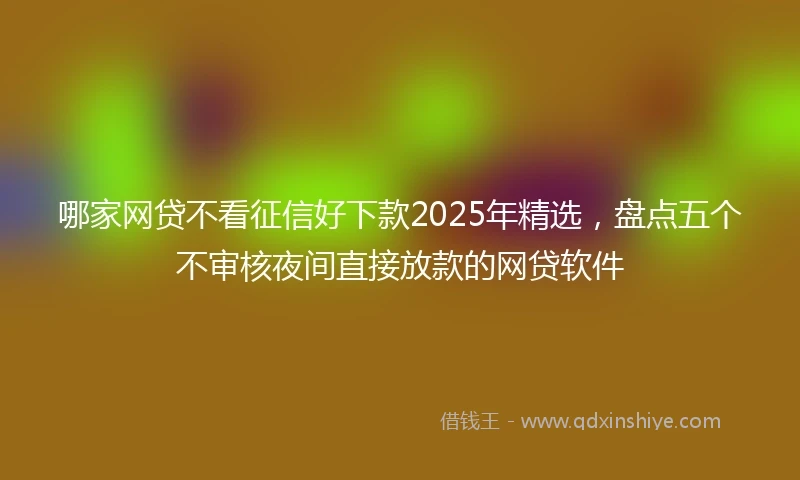 哪家网贷不看征信好下款2025年精选，盘点五个不审核夜间直接放款的网贷软件