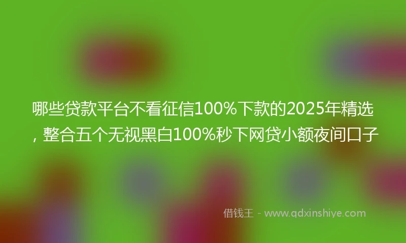 哪些贷款平台不看征信100%下款的2025年精选,整合五个无视黑白100%秒下网贷小额夜间口子