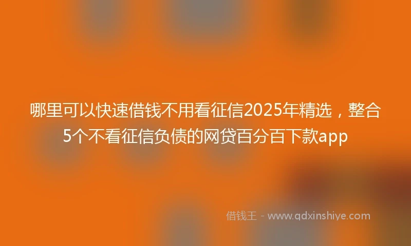 哪里可以快速借钱不用看征信2025年精选，整合5个不看征信负债的网贷百分百下款app