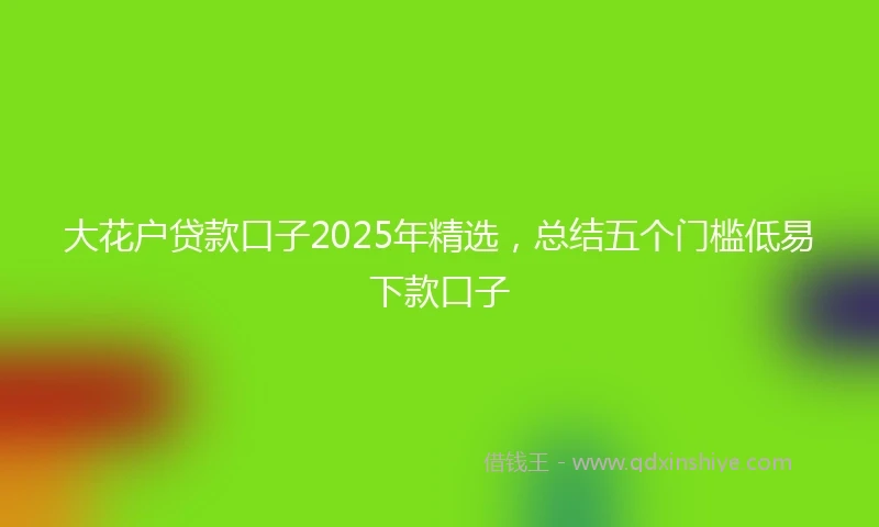 大花户贷款口子2025年精选，总结五个门槛低易下款口子
