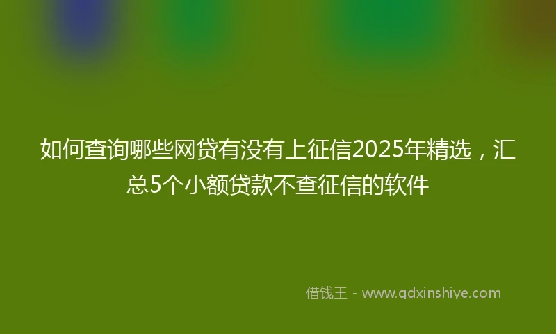 如何查询哪些网贷有没有上征信2025年精选，汇总5个小额贷款不查征信的软件