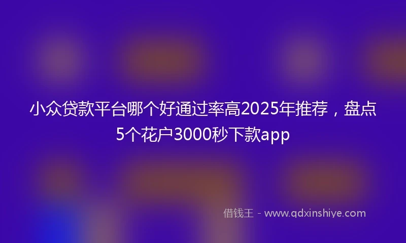小众贷款平台哪个好通过率高2025年推荐，盘点5个花户3000秒下款app