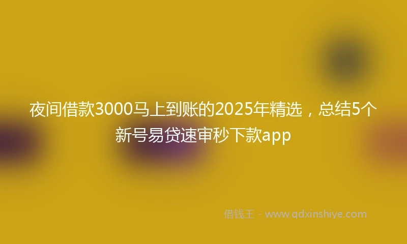 夜间借款3000马上到账的2025年精选，总结5个新号易贷速审秒下款app
