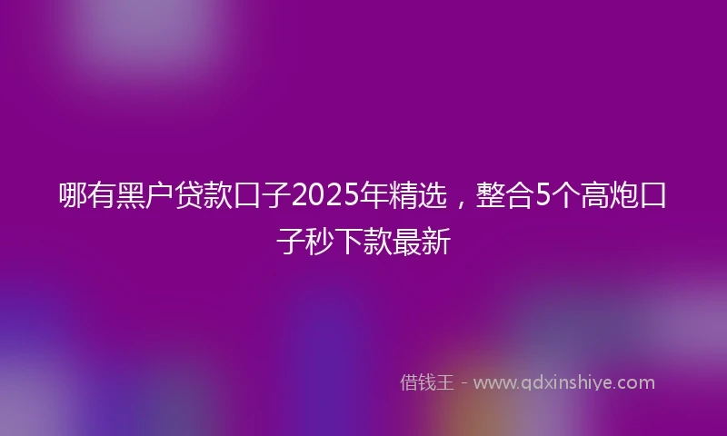 哪有黑户贷款口子2025年精选，整合5个高炮口子秒下款最新