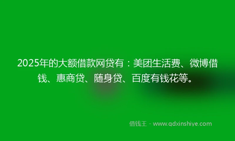 2025年的大额借款网贷有：美团生活费、微博借钱、惠商贷、随身贷、百度有钱花等。