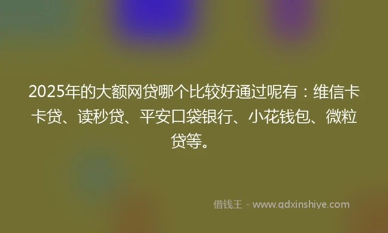 2025年的大额网贷哪个比较好通过呢有：维信卡卡贷、读秒贷、平安口袋银行、小花钱包、微粒贷等。