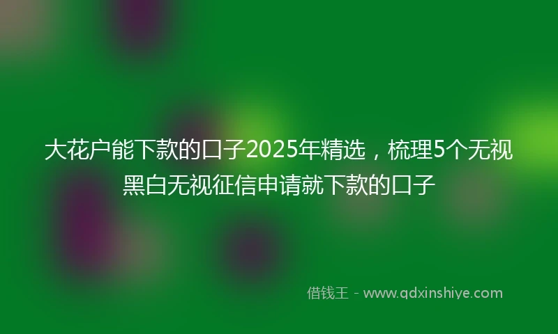 大花户能下款的口子2025年精选，梳理5个无视黑白无视征信申请就下款的口子