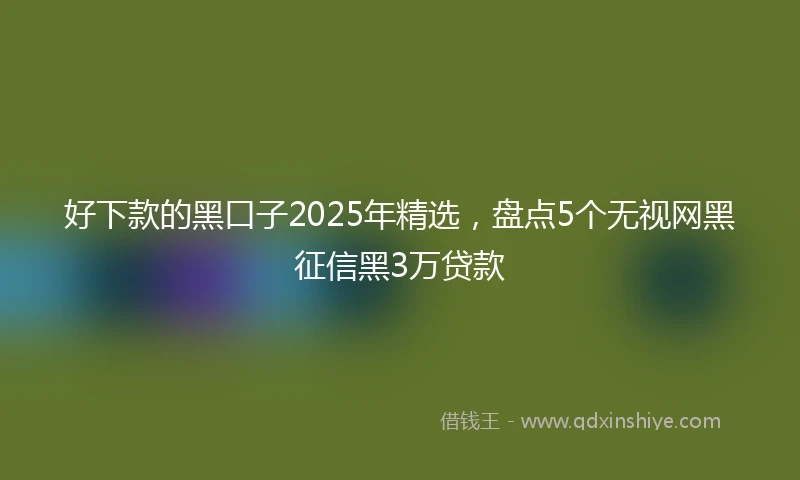 好下款的黑口子2025年精选，盘点5个无视网黑征信黑3万贷款