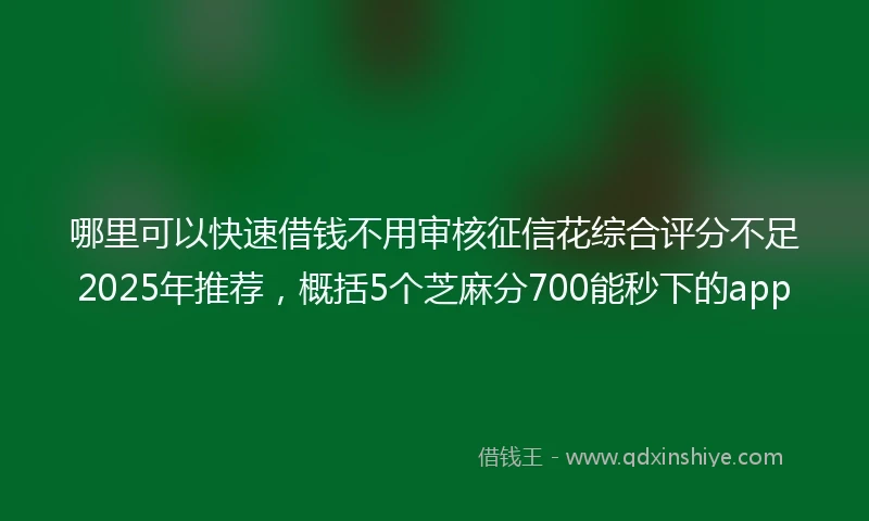 哪里可以快速借钱不用审核征信花综合评分不足2025年推荐，概括5个芝麻分700能秒下的app