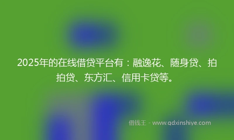 2025年的在线借贷平台有：融逸花、随身贷、拍拍贷、东方汇、信用卡贷等。