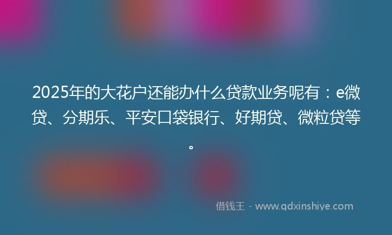 2025年的大花户还能办什么贷款业务呢有：e微贷、分期乐、平安口袋银行、好期贷、微粒贷等。