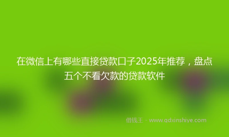 在微信上有哪些直接贷款口子2025年推荐，盘点五个不看欠款的贷款软件