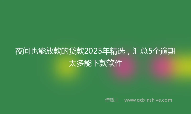 夜间也能放款的贷款2025年精选，汇总5个逾期太多能下款软件