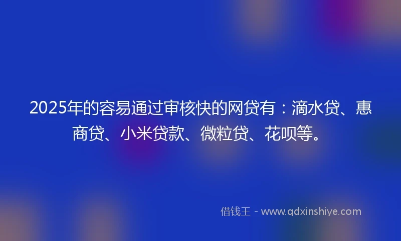2025年的容易通过审核快的网贷有：滴水贷、惠商贷、小米贷款、微粒贷、花呗等。
