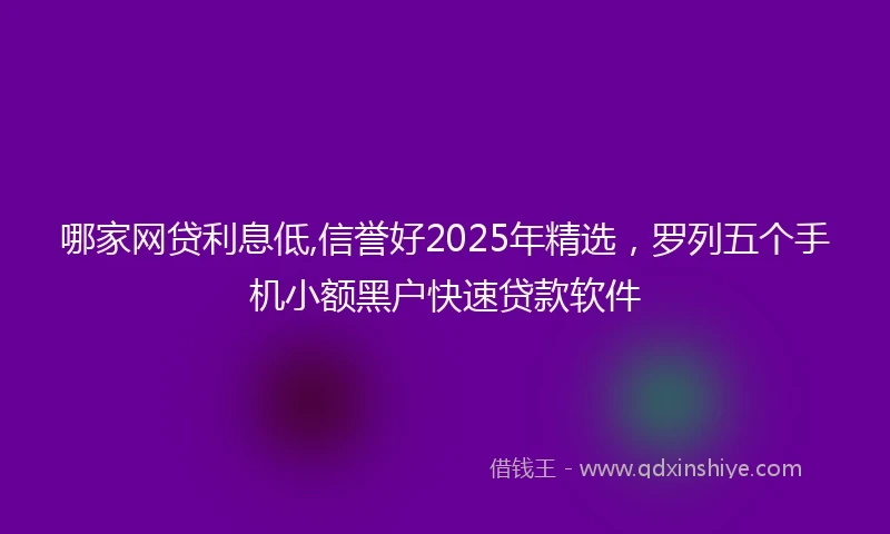 哪家网贷利息低,信誉好2025年精选，罗列五个手机小额黑户快速贷款软件