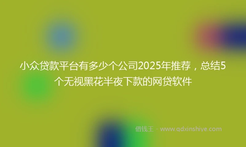 小众贷款平台有多少个公司2025年推荐，总结5个无视黑花半夜下款的网贷软件