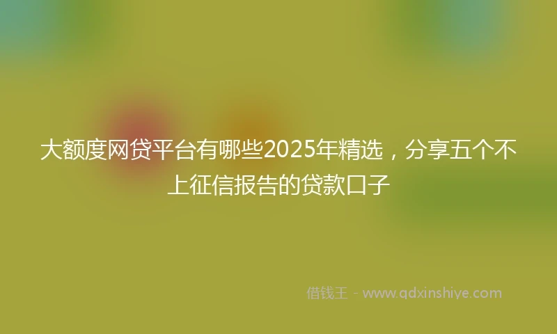 大额度网贷平台有哪些2025年精选，分享五个不上征信报告的贷款口子