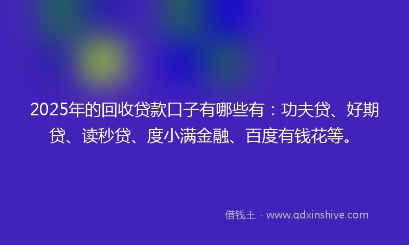 2025年的回收贷款口子有哪些有：功夫贷、好期贷、读秒贷、度小满金融、百度有钱花等。