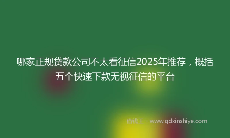 哪家正规贷款公司不太看征信2025年推荐，概括五个快速下款无视征信的平台