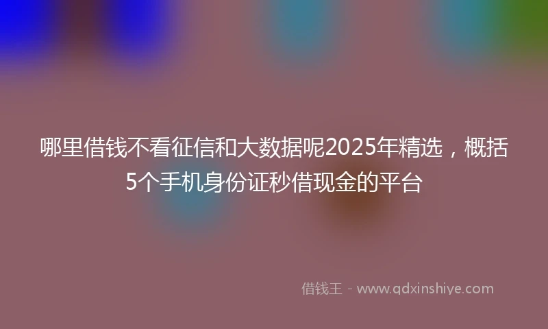 哪里借钱不看征信和大数据呢2025年精选，概括5个手机身份证秒借现金的平台