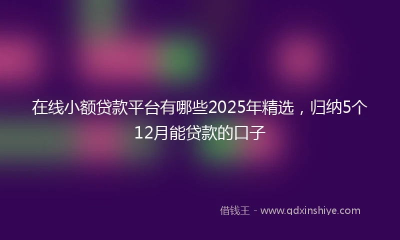 在线小额贷款平台有哪些2025年精选，归纳5个12月能贷款的口子