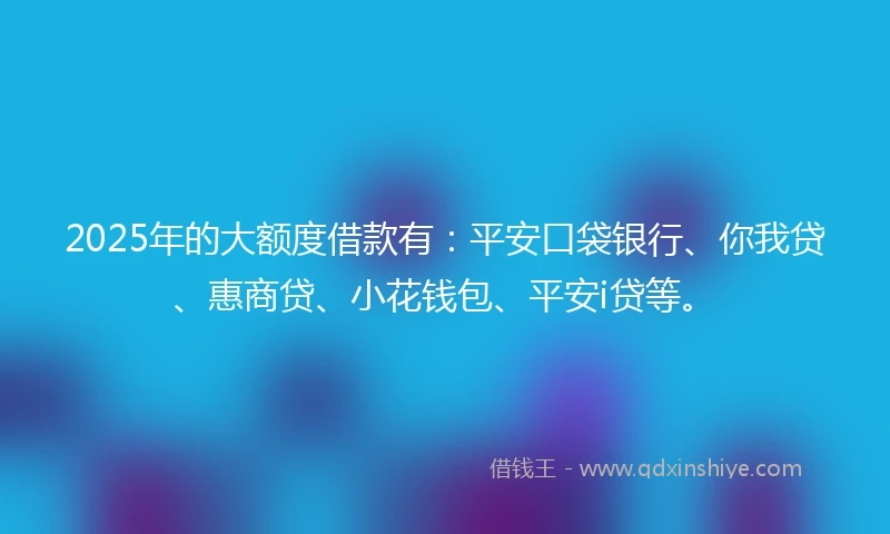2025年的大额度借款有：平安口袋银行、你我贷、惠商贷、小花钱包、平安i贷等。