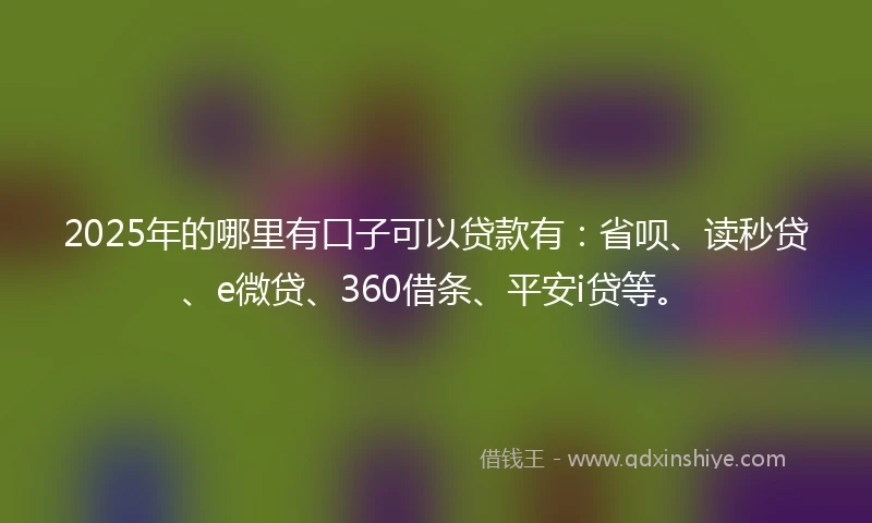 2025年的哪里有口子可以贷款有：省呗、读秒贷、e微贷、360借条、平安i贷等。