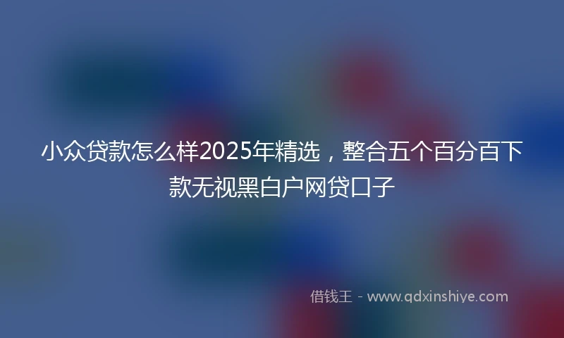 小众贷款怎么样2025年精选，整合五个百分百下款无视黑白户网贷口子