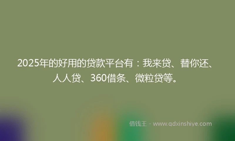 2025年的好用的贷款平台有：我来贷、替你还、人人贷、360借条、微粒贷等。