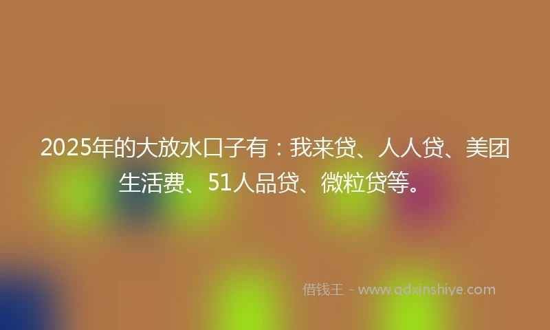2025年的大放水口子有：我来贷、人人贷、美团生活费、51人品贷、微粒贷等。