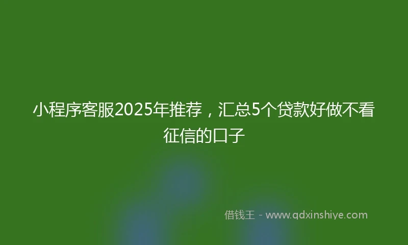 小程序客服2025年推荐，汇总5个贷款好做不看征信的口子