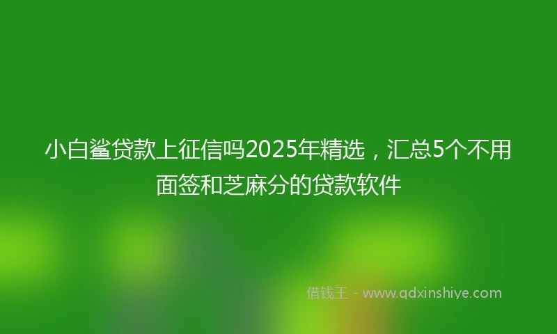 小白鲨贷款上征信吗2025年精选，汇总5个不用面签和芝麻分的贷款软件