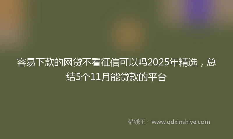 容易下款的网贷不看征信可以吗2025年精选，总结5个11月能贷款的平台