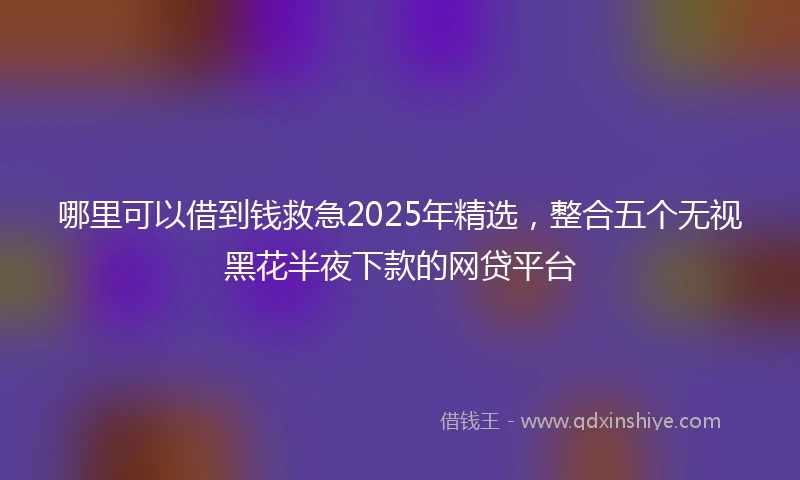 哪里可以借到钱救急2025年精选，整合五个无视黑花半夜下款的网贷平台