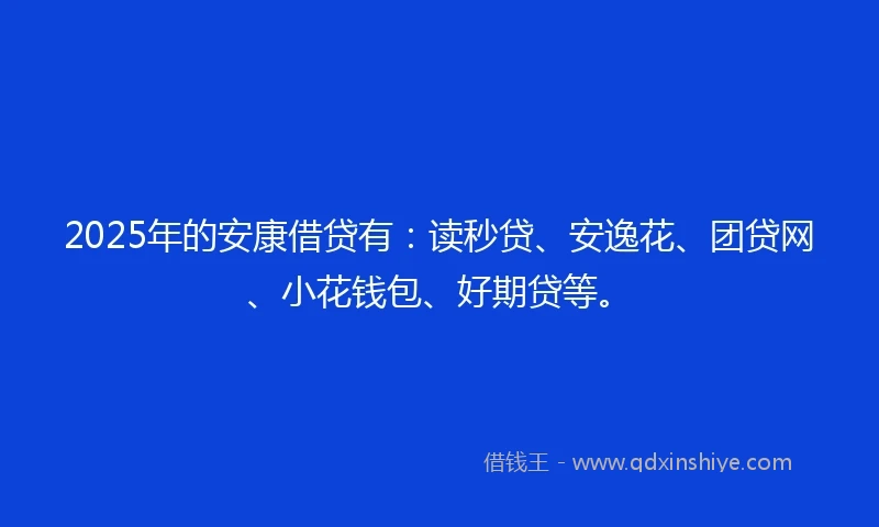 2025年的安康借贷有：读秒贷、安逸花、团贷网、小花钱包、好期贷等。