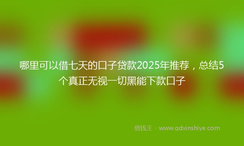 哪里可以借七天的口子贷款2025年推荐，总结5个真正无视一切黑能下款口子