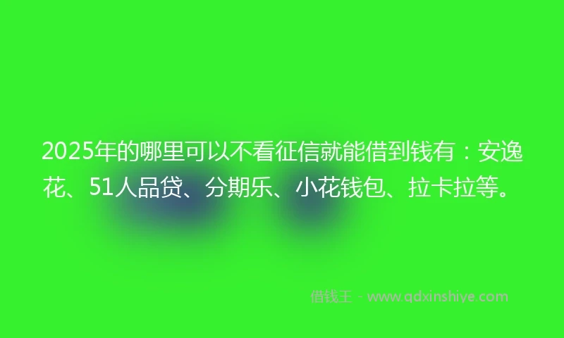 2025年的哪里可以不看征信就能借到钱有：安逸花、51人品贷、分期乐、小花钱包、拉卡拉等。