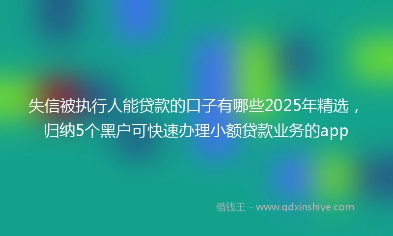 失信被执行人能贷款的口子有哪些2025年精选，归纳5个黑户可快速办理小额贷款业务的app