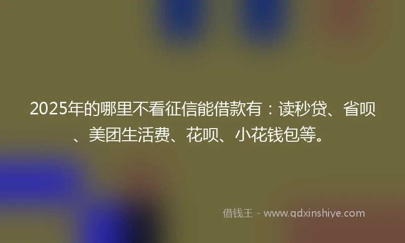 2025年的哪里不看征信能借款有：读秒贷、省呗、美团生活费、花呗、小花钱包等。