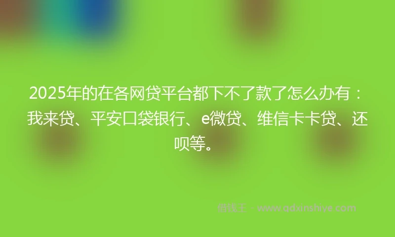 2025年的在各网贷平台都下不了款了怎么办有：我来贷、平安口袋银行、e微贷、维信卡卡贷、还呗等。