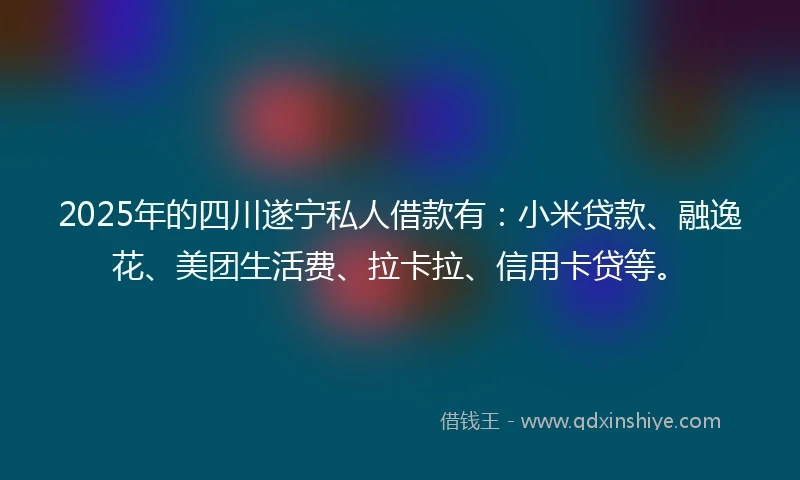 2025年的四川遂宁私人借款有：小米贷款、融逸花、美团生活费、拉卡拉、信用卡贷等。
