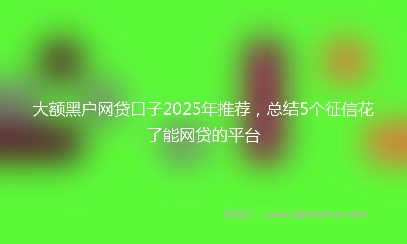 大额黑户网贷口子2025年推荐，总结5个征信花了能网贷的平台