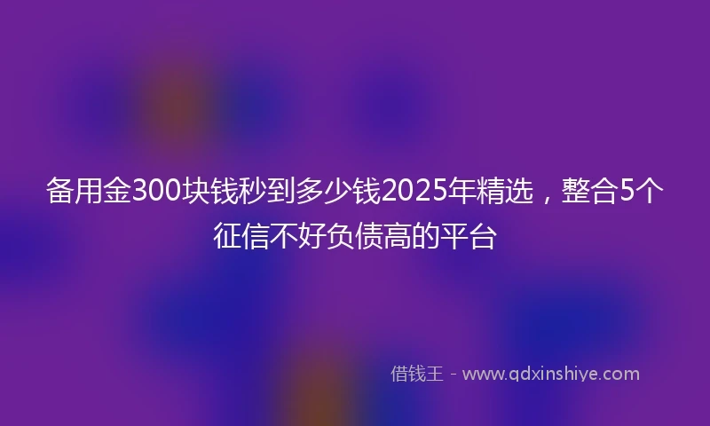 备用金300块钱秒到多少钱2025年精选，整合5个征信不好负债高的平台