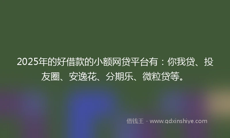 2025年的好借款的小额网贷平台有：你我贷、投友圈、安逸花、分期乐、微粒贷等。
