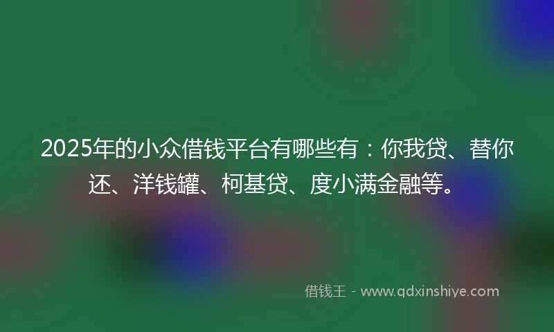 2025年的小众借钱平台有哪些有：你我贷、替你还、洋钱罐、柯基贷、度小满金融等。